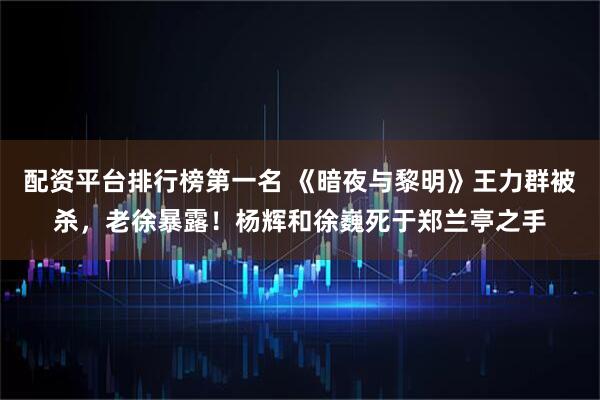 配资平台排行榜第一名 《暗夜与黎明》王力群被杀，老徐暴露！杨辉和徐巍死于郑兰亭之手
