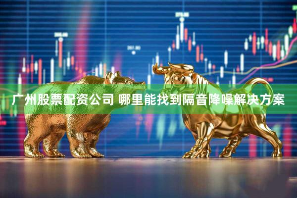 广州股票配资公司 哪里能找到隔音降噪解决方案