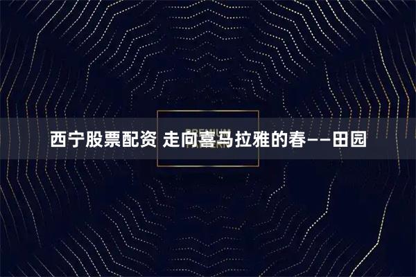 西宁股票配资 走向喜马拉雅的春——田园