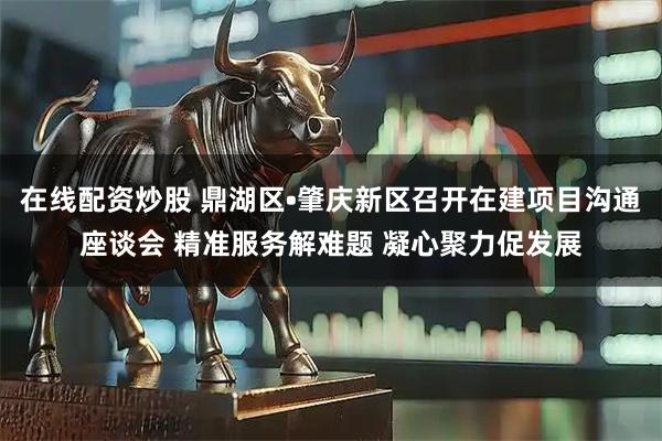 在线配资炒股 鼎湖区•肇庆新区召开在建项目沟通座谈会 精准服务解难题 凝心聚力促发展